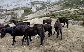 Los Casares Riaño